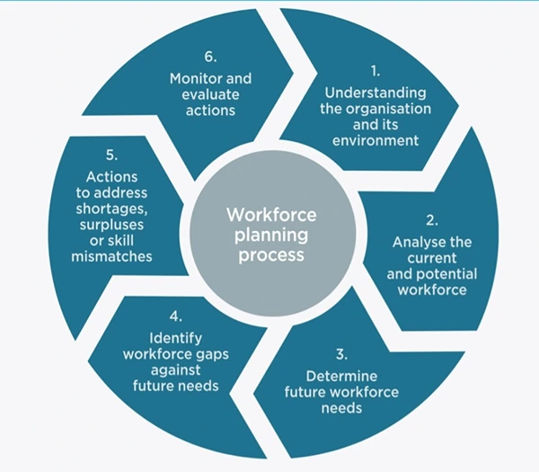 Workforce planning process