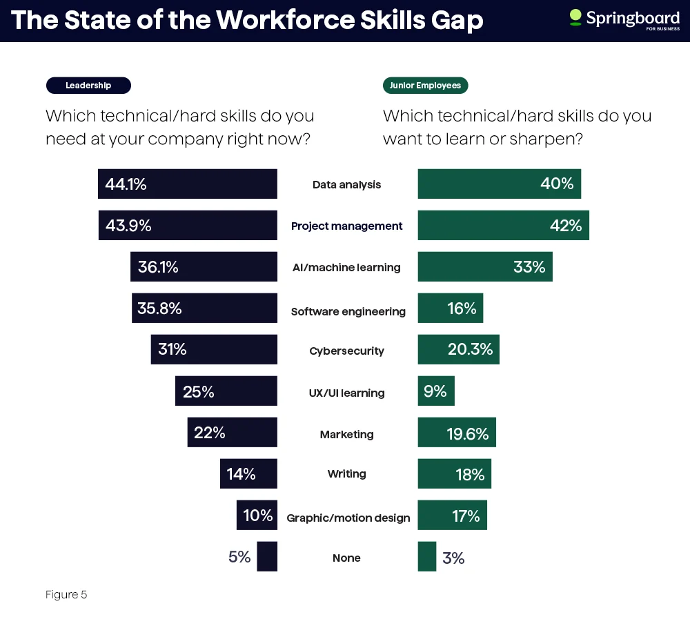 What is A Workforce Skills Gap